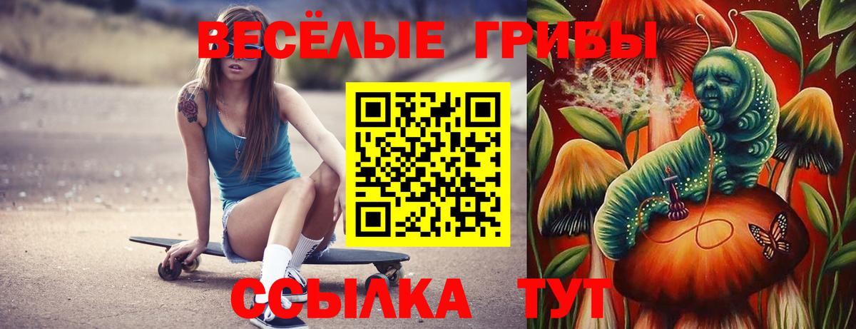 Псилоцибиновые грибы Psilocybe  Вход с VPN  Вятские Поляны 