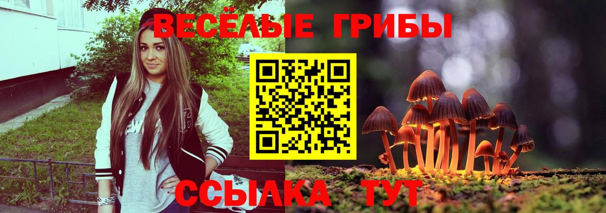 Галлюциногенные грибы Cubensis Вятские Поляны